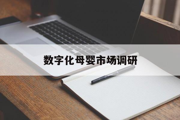 鞍山市数字化母婴市场调研(数字化母婴市场调研报告)